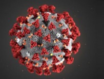19 Mayıs koronavirüs tablosu açıklandı!