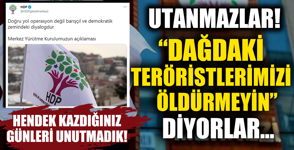 HDP, TSK'nın Irak'ın kuzeyindeki operasyonlarını eleştirdi