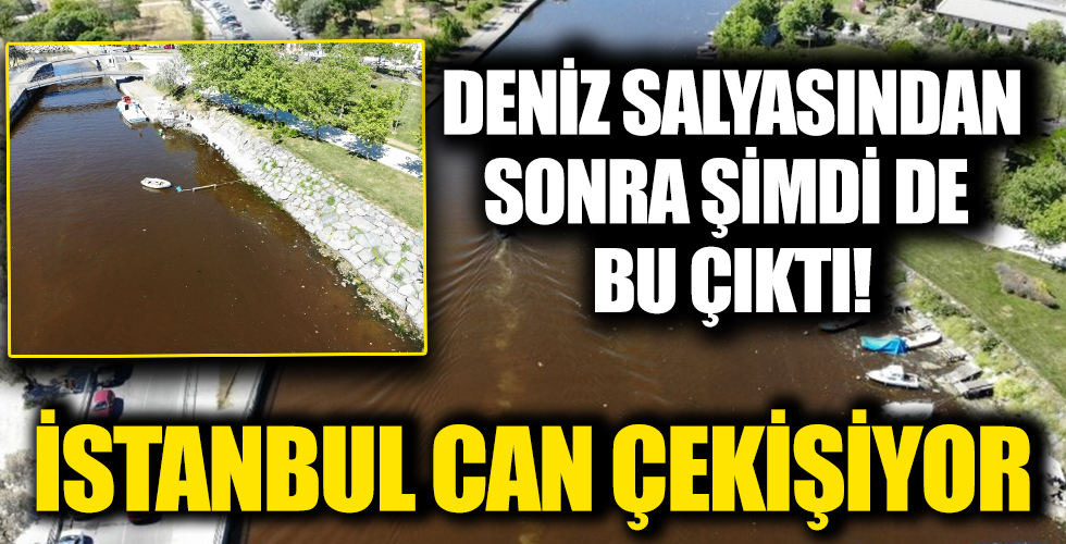 İstanbul'da 'kırmızı' panik! Dereyi görenler tedirgin oluyor...