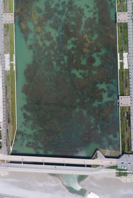 CHP'li belediyede bilindik manzara! Antalya'da kötü koku vatandaşı isyan ettirdi