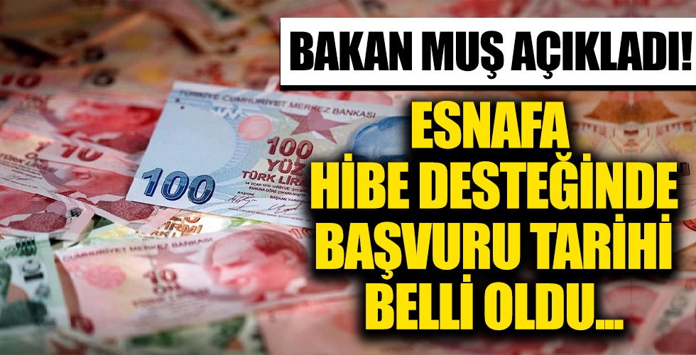 Esnaf destek başvuruları 25 Mayıs'ta başlıyor