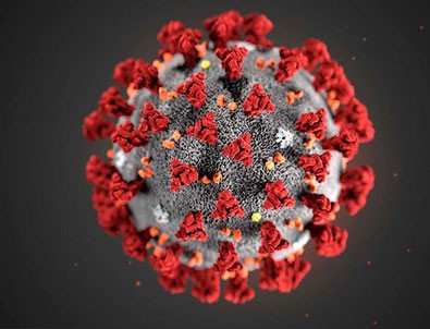 Türkiye'nin günlük koronavirüs tablosu açıklandı!