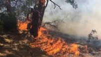 Antalya'da doğal sit alanında büyük yangın! Rüzgar nedeniyle hızla yayılma tehlikesi var...