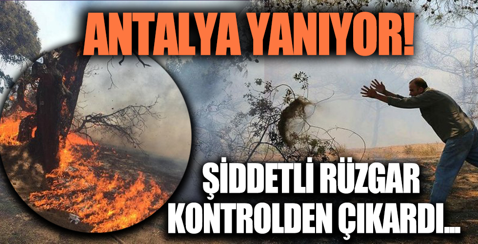 Antalya'da doğal sit alanında büyük yangın! Rüzgar nedeniyle hızla yayılma tehlikesi var...