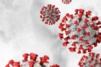 Sağlık Bakanlığı 22 Mayıs 2021 koronavirüs vaka ve vefat tablosunu paylaştı