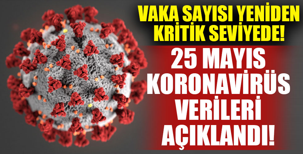25 Mayıs koronavirüs tablosu!
