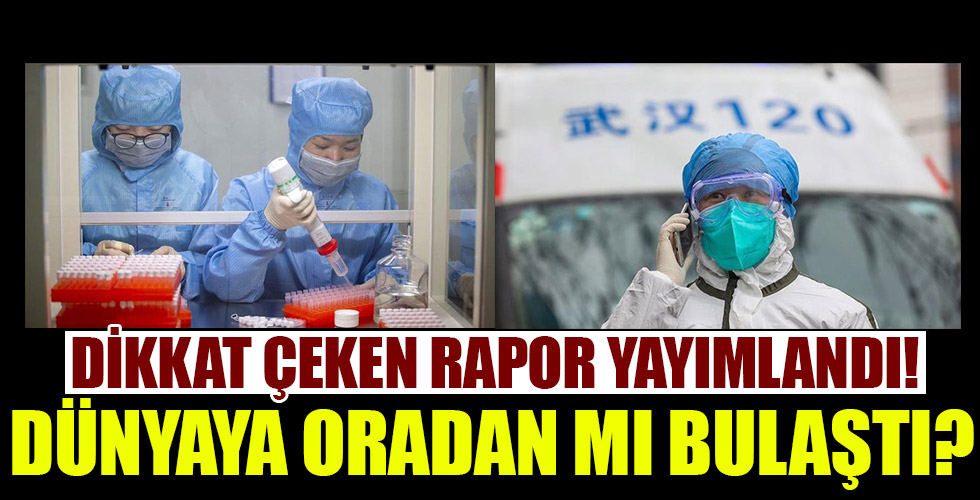 Korona hakkında dikkat çeken rapor! Dünyaya oradan mı bulaştı?