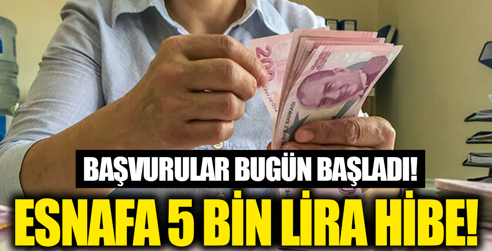 Milyonlarca esnafa 5 bin TL'ye kadar hibe: Başvurular bugün başladı
