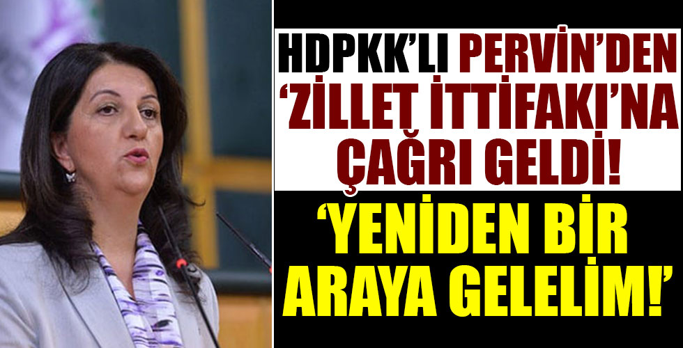 HPD'li Pervin Buldan'dan Millet İttifakı'na flaş çağrı!