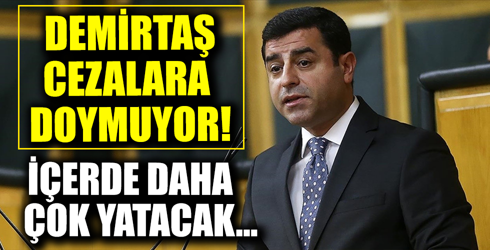 Selahattin Demirtaş'a 2 yıl 6 ay hapis cezası!