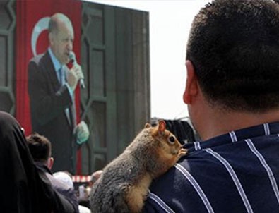 Taksim Camii açılışına sincabı ile geldi