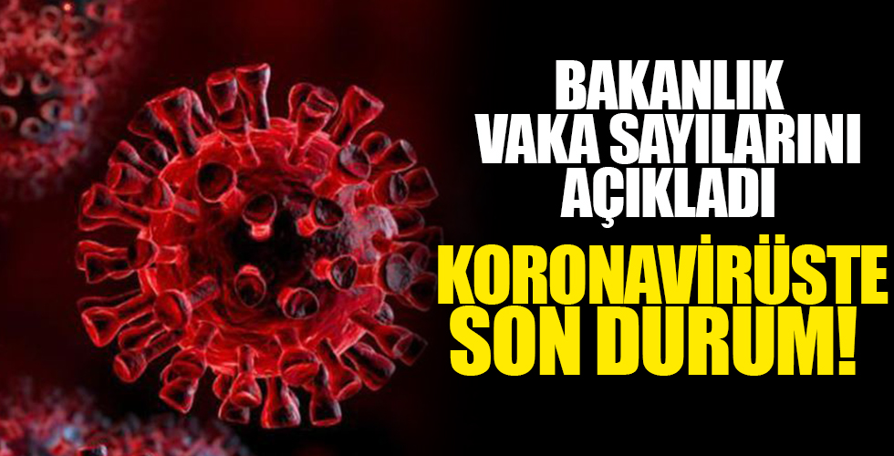 29 Mayıs 2021 koronavirüs vaka ve vefat sayılarını açıkladı