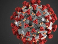 3 Mayıs'ın koronavirüs tablosu açıklandı!