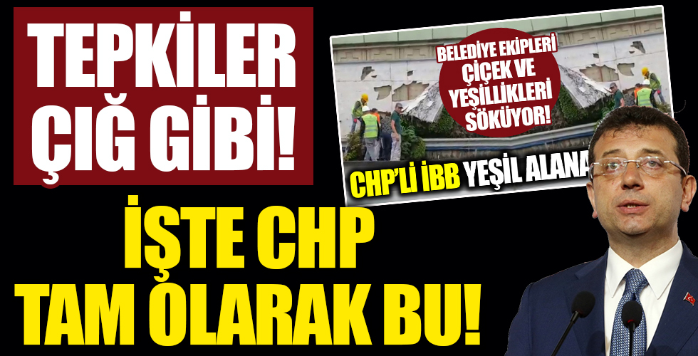 CHP'li İBB Başkanı Ekrem İmamoğlu yine dikey bahçe katliamında! Vatandaştan sert tepki!