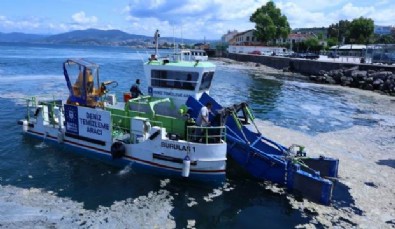 Hep aynı senaryo! Bursa temizledi CHP'li İstanbul sahiplendi!