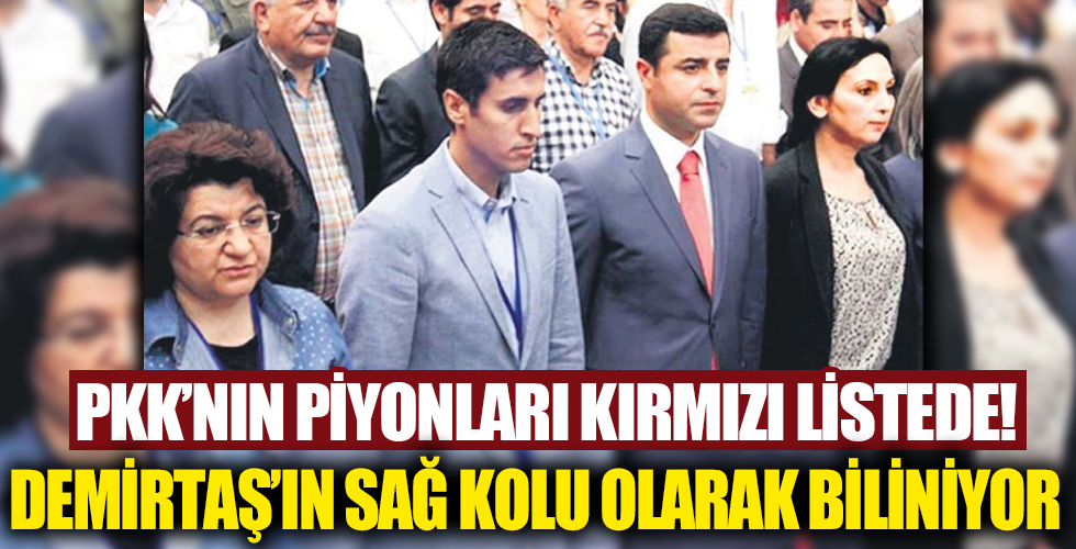 PKK'nın piyonları kırmızı listede: Selahattin Demirtaş'ın sağ kolunun başına 10 milyon ödül!