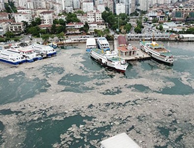 İstanbul Bostancı'da sahili deniz salyası kapladı!