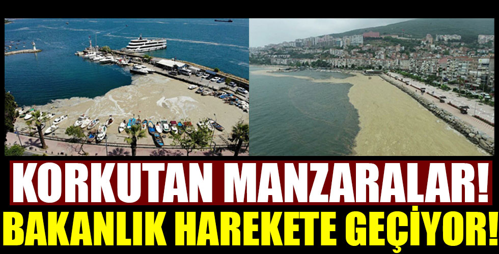Marmara'daki deniz salyası için Bakanlık harekete geçiyor!