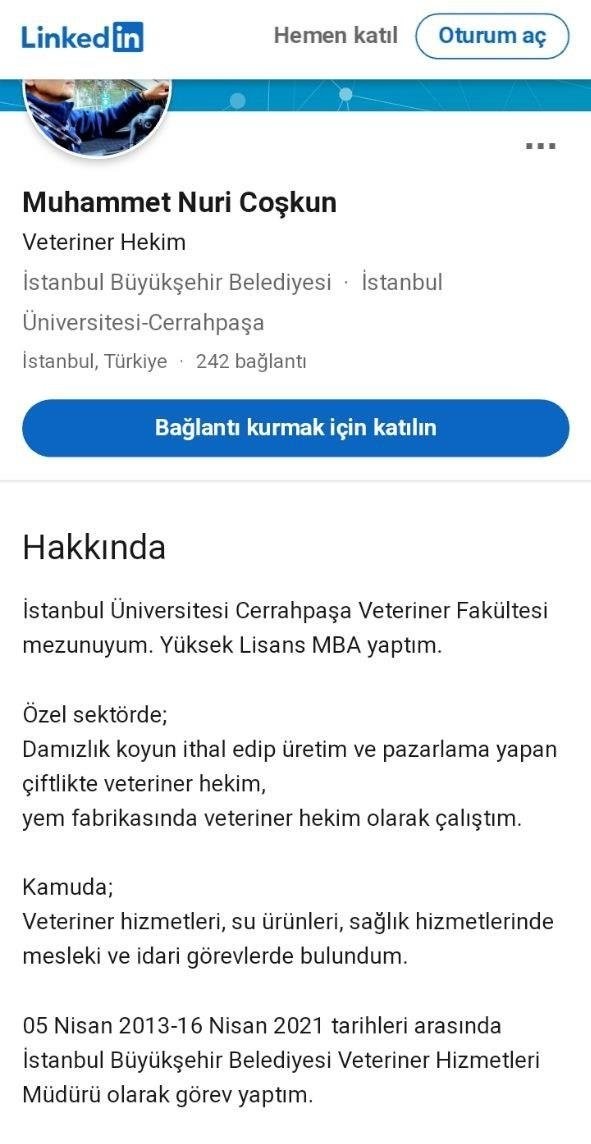 İmamoğlu'nun at rezaletinde günah keçisi bulundu!