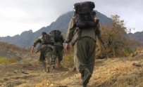 LEYLA GÜVEN - İkna yoluyla teslim olan PKK'lı terörist anlattı: Elebaşların toplantı yerleri sürekli değişiyor