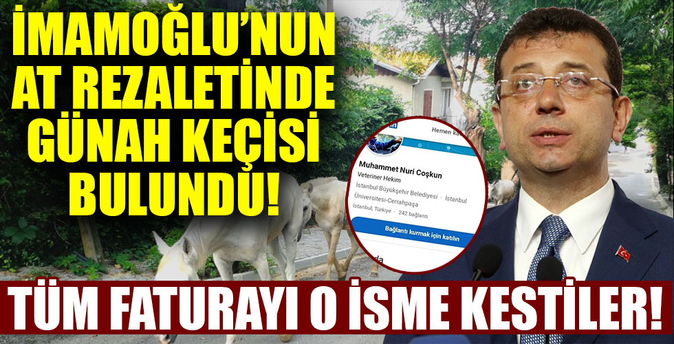 İmamoğlu'nun at rezaletinde günah keçisi bulundu!