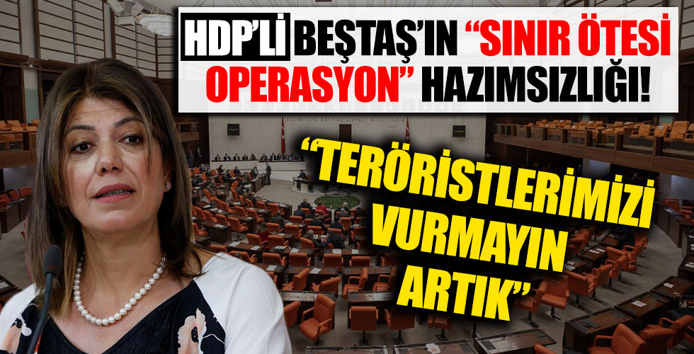 HDP'li Meral Danış Beştaş'ın 'sınır ötesi operasyon' hazımsızlığı