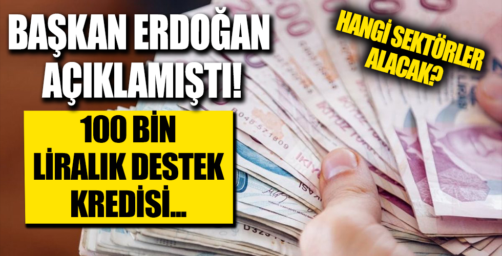 100 bin TL destek kredisinin detayları netleşiyor: 6 ay ödemesiz 3 yıl vadeli kredi! Hangi sektörler alacak?