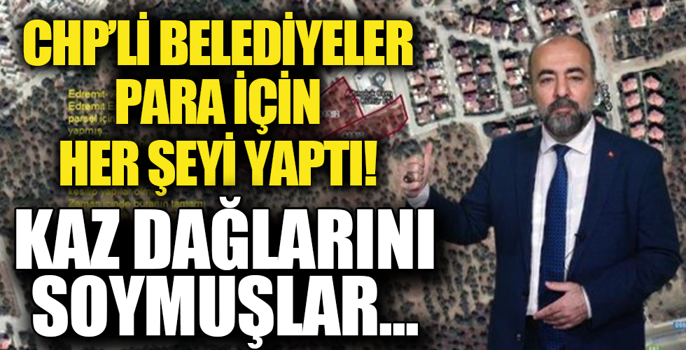 Kazdağları zeytinlik ve sahili CHP katliamına uğruyor! CHP'li siyasetçiler ve belediyeler rant alanına çevirdi