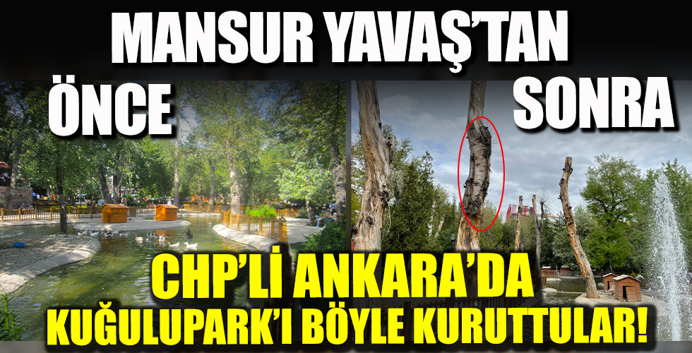 Mansur Yavaş'ın işbilmezliği Ankara'nın gözdesi Kuğuluparkı kuruttu!
