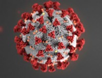 1 Haziran koronavirüs rakamları açıklandı!