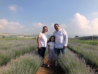 NİLÜFER - Bu Bitki Birçok Hastaliga Iyi Geliyor