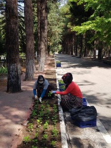 Burdur'da Mezarliklar Çiçek Açacak