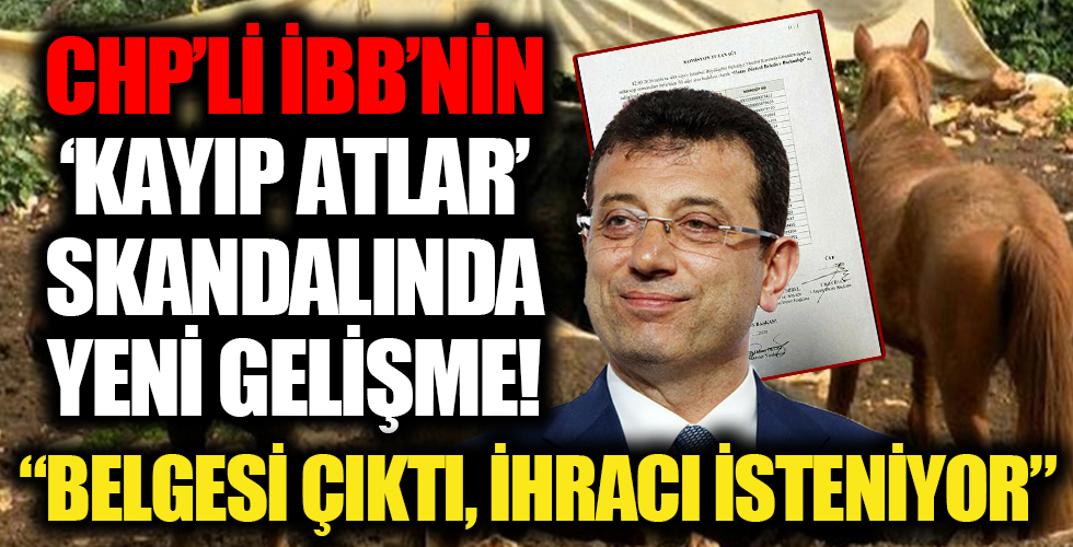 CHP'li İBB'nin kayıp atlar skandalında son dakika gelişmesi!