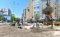 ESENYURT BELEDİYESİ - Esenyurt Belediyesi Ilçeye Yüz Yillik Zeytin Agaçlari Dikti