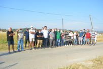 ZEYTINLIK - Gömeç'te Hazine Arazisinin Satis Kararina Bölge Halki Tepki Gösterdi