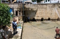 RESTORASYON - Hani Ayn-Kebir Parkinda Temizlik Çalismasi