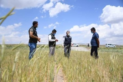 Il Tarim Ve Orman Müdürü Sahin, Tomarza'da Hasar Tespit Çalismalarina Katildi