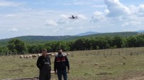 KARAKAYA - Kaybolan Koyunlar Drone Ile Bulundu