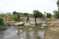 YENİ KÖPRÜ - Köy Halkinin Köprü Çilesi