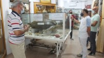 KADIR ÖZDEMIR - Köy Müzesini 200 Turizm Sirketi Ziyaret Etti