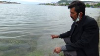 OLTA - Marmara Denizi'ndeki Müsilaj Karadenizli Balikçilari Endiselendiriyor