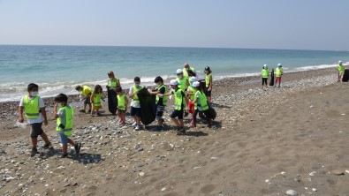 Mersin'de Deniz Kaplumbagalari Için Sahil Temizligi