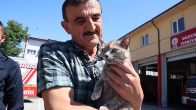 Öfkeli Kedi Annesi Ile Bulustu