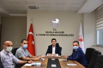 HAYVAN - Sahipli Kedi Ve Köpeklere Pasaport