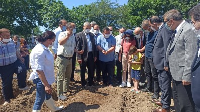 Türkiye'de Tek Özel Izinle Ekilen Il Olan Samsun'da Üreticilere Salep Yumrusu Dagitildi