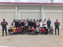 PAKISTAN - Antalya'da Ormanlik 73 Düzensiz Göçmen Yakalandi