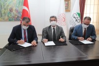 MECLİS ÜYESİ - Eyyübiye'de Dev Sera Tesisi Kuruluyor