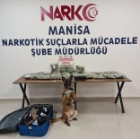 NARKOTIK - Narkotik Köpegi 'Kiraz' 12 Kilo Bonzai Yakaladi