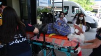 KOCAELI ÜNIVERSITESI - Ot Biçme Makinesinden Düsen 67 Yasindaki Adam Agir Yaralandi