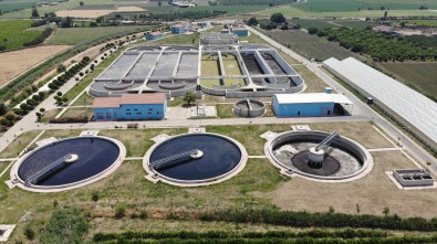 (Özel) Manisa, Ege'de Deniz Salyasi Olmasin Diye Çalisiyor